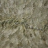 img_0735_0.jpg