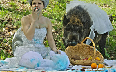 The picnic